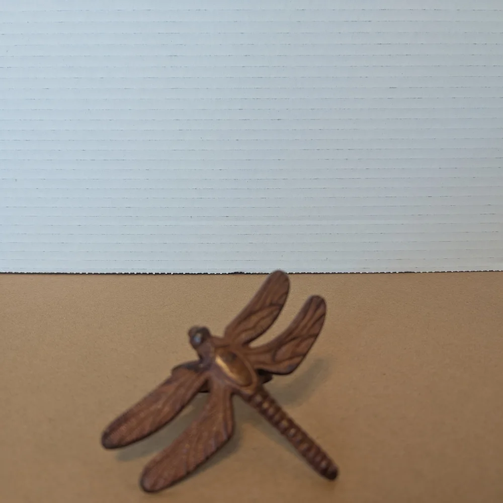 Pier 1 Brown Dragonfly Decor Set